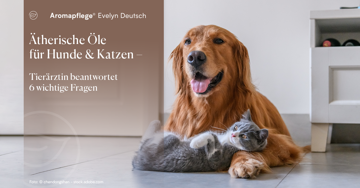 Ätherische Öle für Hunde & Katzen – Tierärztin beantwortet 6 wichtige